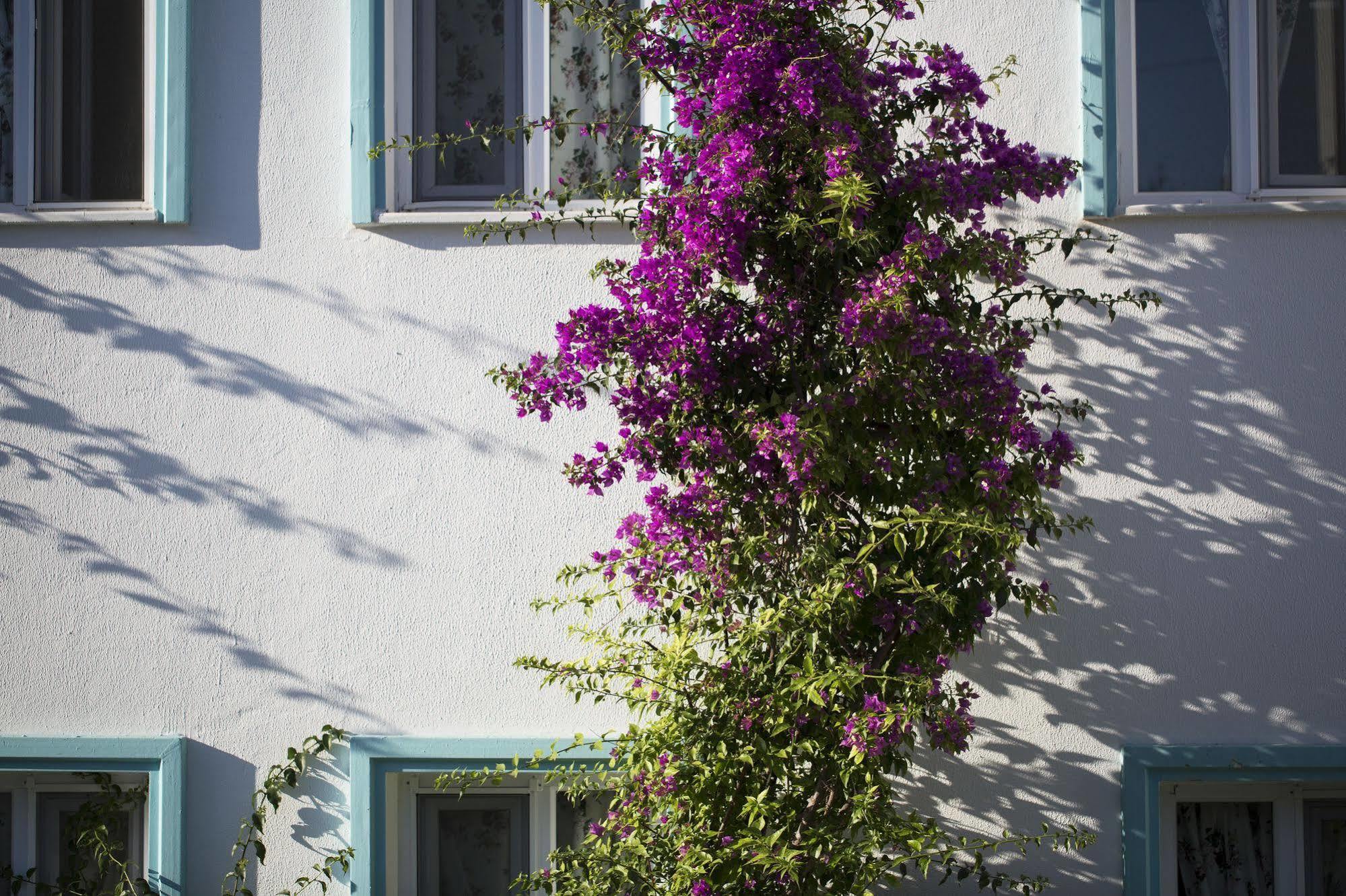 Istanbul Hotel Bodrum Тюркбюкю Экстерьер фото